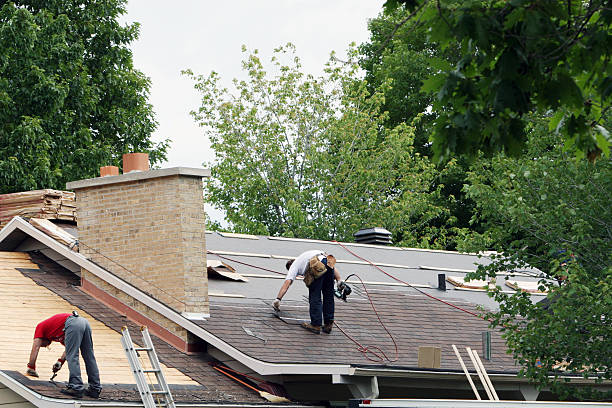 Best Roof Insulation Installation  in Duquesne, PA